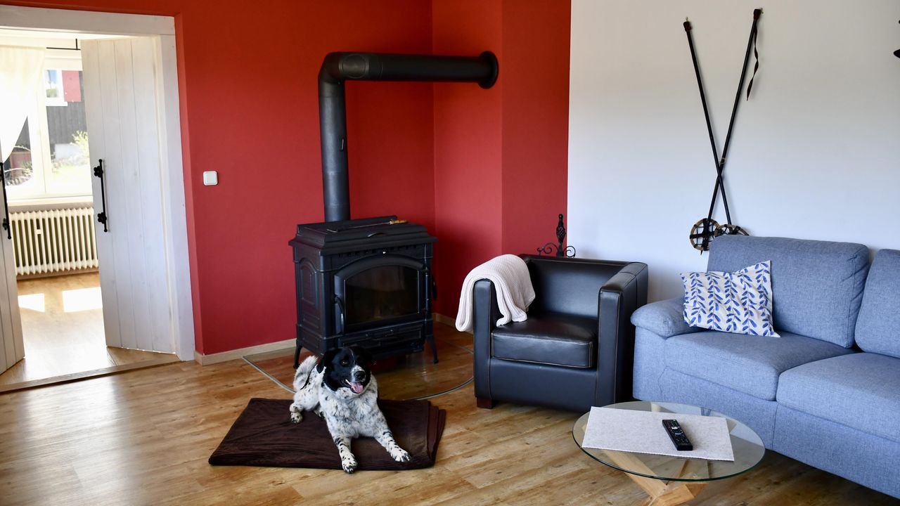 Foto 05.04.24, 13 09 03 Foto 05.04.24, 13 09 03